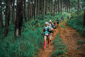 BIB: 
                            <button type="button" onclick="openModal(25652890)" class="btn btn-primary btn-sm float-right btn-popup" data-toggle="modal" data-target=".modal-high-quality">
                        <i class="fas fa-shopping-cart"></i> Add to Cart
                    </button>
                                            <button type="button" onclick="isThisMe(25652890, true)" class="btn btn-success btn-sm float-right btn-popup btn-isme hidden" data-toggle="tooltip" data-placement="bottom" title="นี่คือรูปของคุณใช่ไหม คลิกที่นี่เพื่อเอาเข้าอัลบั้ม">
                        <i class="fas fa-plus"></i> Add to album
                    </button>
                    <button type="button" onclick="isThisMe(25652890, false)" class="btn btn-warning btn-sm float-right btn-popup btn-isnotme hidden">
                        <i class="fas fa-ban"></i> Remove from album
                    </button>